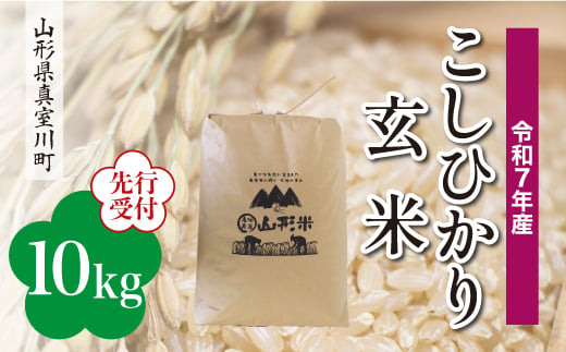 ＜令和7年産米先行受付＞ 真室川町産 こしひかり 【玄米】 10kg （10kg×1袋）＜配送時期指定可＞ 2005073 - 山形県真室川町