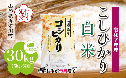 ＜令和7年産米先行受付＞ 真室川町産 こしひかり 【白米】 定期便 30kg （5kg×1ヶ月間隔で6回お届け）＜配送時期指定可＞ 2005082 - 山形県真室川町