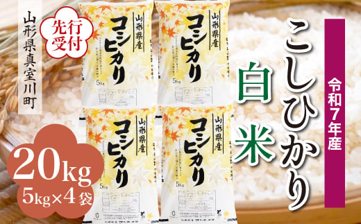 ＜令和7年産米先行受付＞ 真室川町産 こしひかり 【白米】 20kg （5kg×4袋）＜配送時期指定可＞ 2005080 - 山形県真室川町