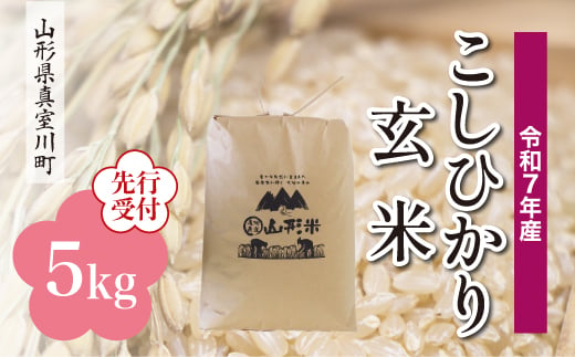 ＜令和7年産米先行受付＞ 真室川町産 こしひかり 【玄米】 5kg （5kg×1袋）＜配送時期指定可＞ 2005070 - 山形県真室川町