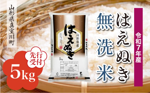 ＜令和7年産米先行受付＞ 真室川町産 はえぬき 【無洗米】5kg （5kg×1袋）＜配送時期指定可＞ 2005003 - 山形県真室川町