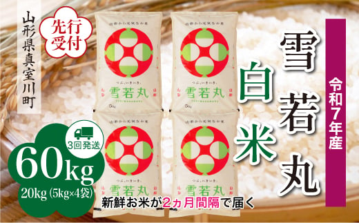 ＜令和7年産米先行受付＞ 真室川町産 雪若丸 【白米】 定期便 60kg （20kg×２ヶ月間隔で3回お届け）＜配送時期指定可＞ 2005068 - 山形県真室川町