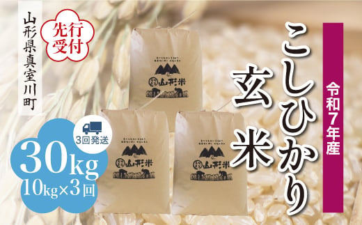 ＜令和7年産米先行受付＞ 真室川町産 こしひかり 【玄米】 30kg定期便 （10kg×3回発送）＜配送時期指定可＞ 2005084 - 山形県真室川町