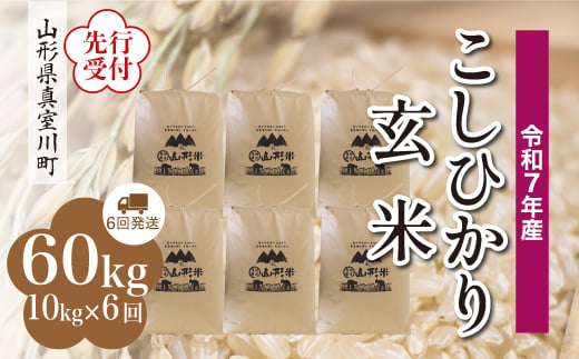 ＜令和7年産米先行受付＞ 真室川町産 こしひかり 【玄米】 60kg定期便 （10kg×6回発送）＜配送時期指定可＞ 2005088 - 山形県真室川町