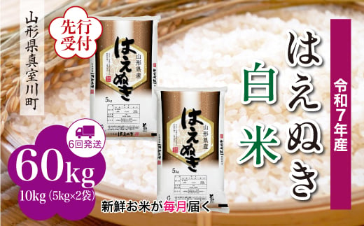 ＜令和7年産米先行受付＞ 真室川町産 はえぬき 【白米】 定期便 60kg （10kg×1ヶ月間隔で6回お届け）＜配送時期指定可＞ 2005020 - 山形県真室川町