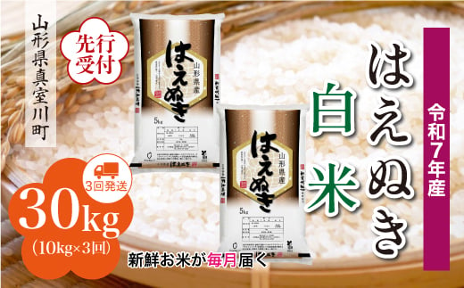 ＜令和7年産米先行受付＞ 真室川町産 はえぬき 【白米】 定期便 30kg （10kg×1ヶ月間隔で3回お届け）＜配送時期指定可＞ 2005016 - 山形県真室川町