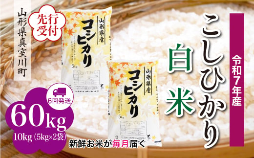 ＜令和7年産米先行受付＞ 真室川町産 こしひかり 【白米】 定期便 60kg （10kg×1ヶ月間隔で6回お届け）＜配送時期指定可＞ 2005089 - 山形県真室川町