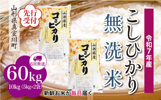 ＜令和7年産米先行受付＞ 真室川町産 こしひかり 【無洗米】 定期便 60kg （10kg×1ヶ月間隔で6回お届け）＜配送時期指定可＞ 2005090 - 山形県真室川町