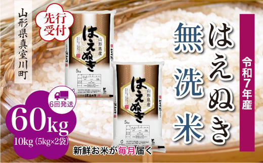 ＜令和7年産米先行受付＞ 真室川町産 はえぬき 【無洗米】 定期便 60kg （10kg×1ヶ月間隔で6回お届け）＜配送時期指定可＞ 2005021 - 山形県真室川町