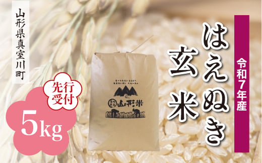 ＜令和7年産米先行受付＞ 真室川町産 はえぬき 【玄米】 5kg （5kg×1袋）＜配送時期指定可＞ 2005001 - 山形県真室川町