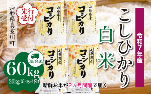 ＜令和7年産米先行受付＞ 真室川町産 こしひかり 【白米】 定期便 60kg （20kg×２ヶ月間隔で3回お届け）＜配送時期指定可＞ 2005091 - 山形県真室川町