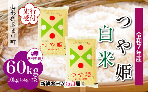 ＜令和7年産米先行受付＞ 真室川町産 特別栽培米 つや姫 【白米】 定期便 60kg （10kg×1ヶ月間隔で6回お届け）＜配送時期指定可＞ 2005043 - 山形県真室川町