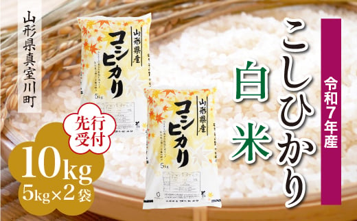 ＜令和7年産米先行受付＞ 真室川町産 こしひかり 【白米】 10kg （5kg×2袋）＜配送時期指定可＞ 2005074 - 山形県真室川町