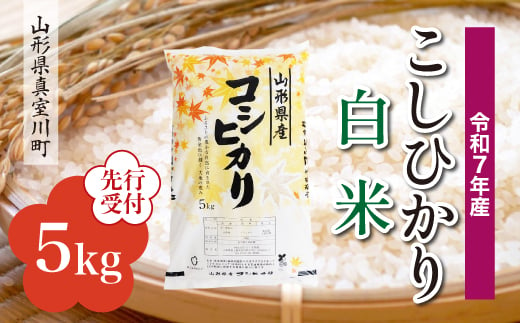 ＜令和7年産米先行受付＞ 真室川町産 こしひかり 【白米】 5kg （5kg×1袋）＜配送時期指定可＞ 2005071 - 山形県真室川町