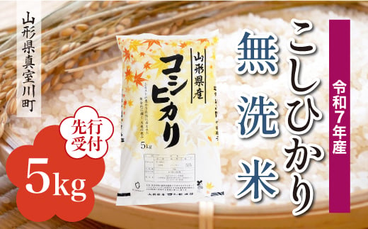 ＜令和7年産米先行受付＞ 真室川町産 こしひかり 【無洗米】5kg （5kg×1袋）＜配送時期指定可＞ 2005072 - 山形県真室川町