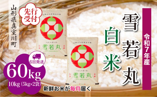 ＜令和7年産米先行受付＞ 真室川町産 雪若丸 【白米】 定期便 60kg （10kg×1ヶ月間隔で6回お届け）＜配送時期指定可＞ 2005066 - 山形県真室川町