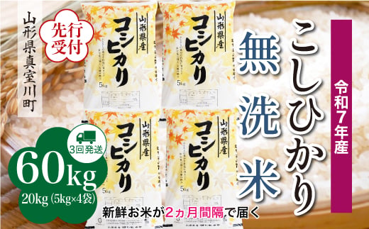 ＜令和7年産米先行受付＞ 真室川町産 こしひかり 【無洗米】 定期便 60kg （20kg×2ヶ月間隔で3回お届け）＜配送時期指定可＞ 2005092 - 山形県真室川町