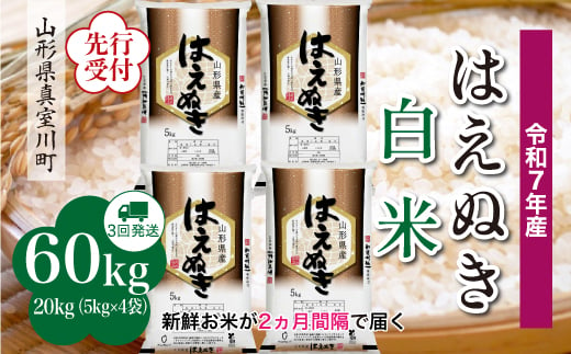 ＜令和7年産米先行受付＞ 真室川町産 はえぬき 【白米】 定期便 60kg （20kg×２ヶ月間隔で3回お届け）＜配送時期指定可＞ 2005022 - 山形県真室川町