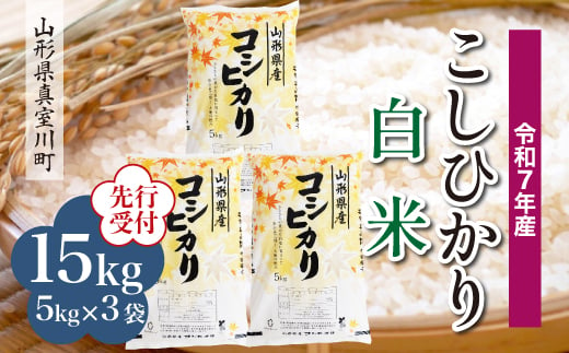 ＜令和7年産米先行受付＞ 真室川町産 こしひかり 【白米】 15kg （5kg×3袋）＜配送時期指定可＞ 2005077 - 山形県真室川町