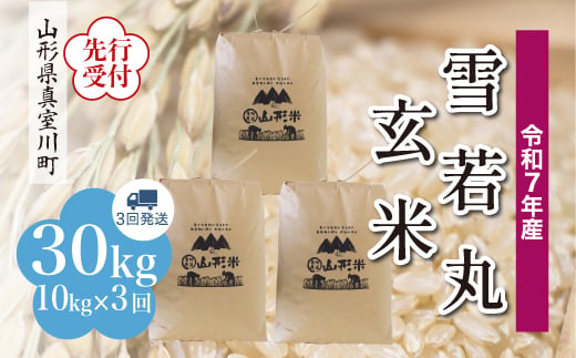 ＜令和7年産米先行受付＞ 真室川町産 雪若丸 【玄米】 30kg定期便 （10kg×3回発送）＜配送時期指定可＞ 2005061 - 山形県真室川町