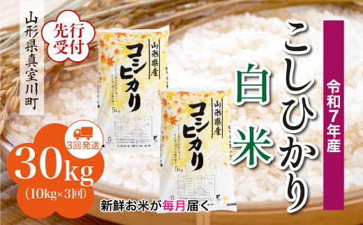 ＜令和7年産米先行受付＞ 真室川町産 こしひかり 【白米】 定期便 30kg （10kg×1ヶ月間隔で3回お届け）＜配送時期指定可＞ 2005085 - 山形県真室川町