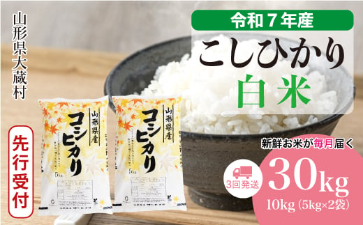 ＜令和7年産米先行受付＞ 大蔵村産 こしひかり 【白米】 定期便 30kg （10kg×1ヶ月間隔で3回お届け）＜配送時期選べます＞ 2005553 - 山形県大蔵村