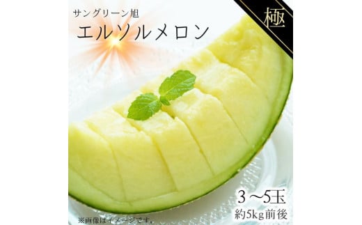 メロン めろん ＼糖度18度以上！／ 【 極 】 エルソルメロン 3～5玉 約3～5kg ｜メロン エルソルメロン おすすめ 人気 国産 茨城 鉾田 サングリーン旭 極 旬 プレゼント 贈り物 青肉 青 果物 5月以降発送