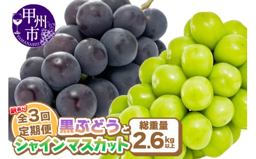 【定期便】訳あり 山梨の黒ぶどうとシャインマスカット全3回【2025年発送】（AGB）C-875 【わけあり シャインマスカット 葡萄 ぶどう ブドウ 令和7年発送 期間限定 山梨県産 甲州市 フルーツ 果物】 2008038 - 山梨県甲州市