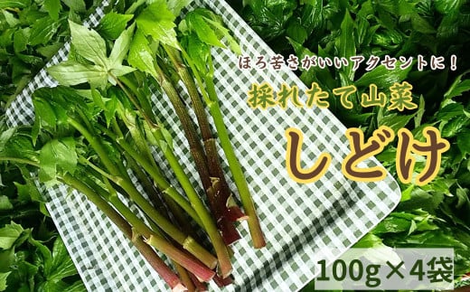 間澤さんの愛情たっぷり「しどけ」100g×4袋 ※予約受付※5月下旬から発送 春の味覚 山菜 季節限定 山の恵 新鮮 採れたて 657632 - 岩手県洋野町