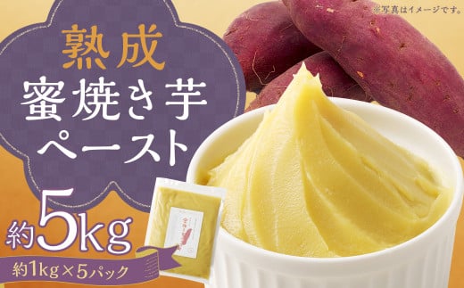 熊本県人吉産 熟成蜜焼き芋ペースト 5kg （約1kg×5パック） さつま芋 さつまいも 芋 蜜焼き 芋ペースト 紅はるか 焼芋 特産品 国産 熊本県 人吉市 冷凍 ふるさと納税 1993551 - 熊本県人吉市