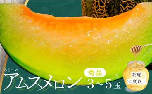 【先行予約】益田産 あまーいアムスメロン 3～5玉（秀品）【メロン 先行予約 アムスメロン めろん 3玉～5玉 糖度14度以上 季節限定 期間限定 早期予約 果物 フルーツ プレゼント 贈り物 ギフト 数量限定】