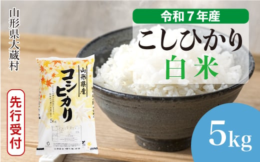 ＜令和7年産米先行受付＞ 大蔵村産 こしひかり 【白米】 5kg （5kg×1袋）＜配送時期選べます＞ 2005539 - 山形県大蔵村