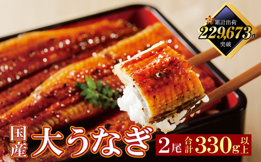 U61-71-02 国産うなぎ蒲焼大サイズ2尾 <計330g以上> 鰻蒲焼用タレ・山椒付 うなぎ生産量日本一鹿児島県産 宮崎県産 熊本県産 九州産 国産鰻 うなぎ ウナギ 鰻 人気 おすすめ ひつまぶし 鰻 蒲焼き タレ 山椒 ランキング 鰻 冷凍 うな重 ひつまぶし うなぎ 福智町 鰻蒲焼き うな丼 542364 - 福岡県福智町