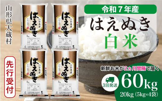 ＜令和7年産米先行受付＞ 大蔵村産 はえぬき 【白米】 定期便 60kg （20kg×２ヶ月間隔で3回お届け）＜配送時期選べます＞ 2005490 - 山形県大蔵村