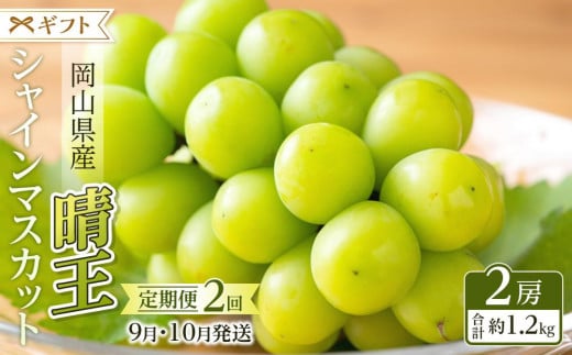 ぶどう 2025年 先行予約 9月・10月発送 シャイン マスカット 晴王 2房（合計約1.2kg） ブドウ 葡萄  岡山県産 国産 フルーツ 果物 ギフト 1154185 - 岡山県岡山市