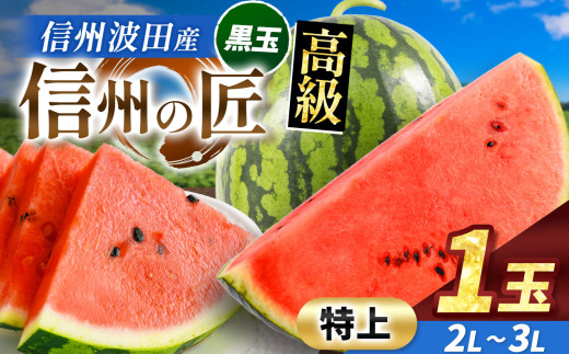 【先行予約】信州波田産 高級スイカ！信州の匠 【特上】 2L～3Lサイズ 1玉｜ふるさと納税 長野県 信州 松本 果物 フルーツ すいか スイカ 西瓜 新鮮 大きい 特別 贈答 季節限定 甘い くだもの ふるーつ 1985468 - 長野県松本市