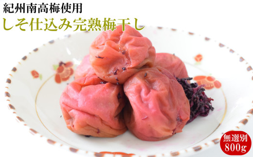 紀州南高梅使用 しそ仕込み完熟梅干し 無選別 約800g / 和歌山 梅干し 紀州南高梅 南高梅 梅干 梅 うめ 肉厚 お米 おにぎり 焼酎 梅酒 健康詰【tec985】 2208451 - 和歌山県北山村