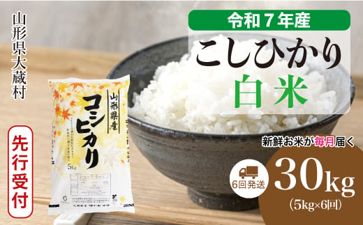 ＜令和7年産米先行受付＞ 大蔵村産 こしひかり 【白米】 定期便 30kg （5kg×1ヶ月間隔で6回お届け）＜配送時期選べます＞ 2005550 - 山形県大蔵村