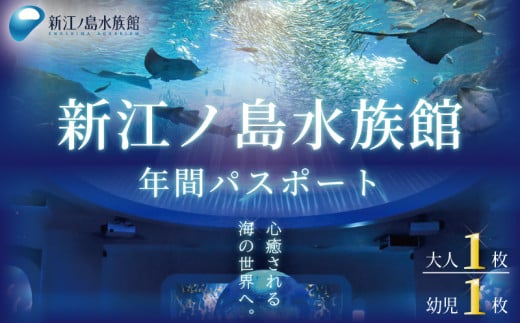 新江ノ島水族館 年間 パスポート 引換券 (大人1枚+幼児1枚)  チケット 水族館 イルカショー 利用券 引換券 券 体験チケット 体験型 アクティビティ 入場券 前売り券 動物 子ども 家族 旅行 観光 トラベル 関東 江の島 江ノ島 すいぞくかん レジャー プレゼント ギフト 株式会社新江ノ島水族館 神奈川 湘南 藤沢 1420686 - 神奈川県藤沢市