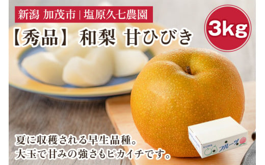 【2025年先行予約】新潟県産 和梨 甘ひびき 3kg 【秀品】《7月下旬から順次出荷》 あまひびき なし 果物 フルーツ デザート ジューシー シャキシャキ  加茂市 塩原久七農園 2005432 - 新潟県加茂市