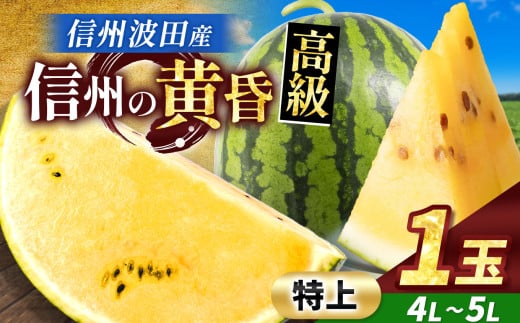 【先行予約】信州波田産 甘いスイカ！信州の黄昏 ( 金色羅皇 ) 【特上】 4L～5Lサイズ 1玉｜ふるさと納税 長野県 信州 松本 果物 フルーツ すいか スイカ 西瓜 大きい 特別 珍しい 黄色スイカ 贈答 季節限定 甘い くだもの ふるーつ 1985481 - 長野県松本市