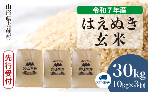 ＜令和7年産米先行受付＞ 大蔵村産 はえぬき 【玄米】 30kg定期便 （10kg×3回発送）＜配送時期選べます＞ 2005483 - 山形県大蔵村