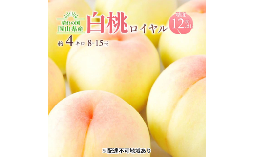 桃 2026年 先行予約 岡山 白桃 ロイヤル 約4kg 8～15玉入り もも モモ 岡山県産 国産 フルーツ 果物 ギフト 橋田商店