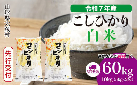 ＜令和7年産米先行受付＞ 大蔵村産 こしひかり 【白米】 定期便 60kg （10kg×1ヶ月間隔で6回お届け）＜配送時期選べます＞ 2005557 - 山形県大蔵村