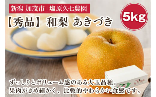 【2025年先行予約】新潟県産 和梨 あきづき 5kg 【秀品】《9月中旬から順次出荷》  なし 果物 フルーツ デザート ジューシー シャキシャキ  加茂市 塩原久七農園 2005777 - 新潟県加茂市