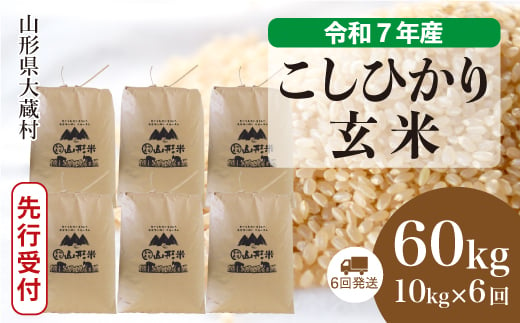 ＜令和7年産米先行受付＞ 大蔵村産 こしひかり 【玄米】 60kg定期便 （10kg×6回発送）＜配送時期選べます＞ 2005556 - 山形県大蔵村