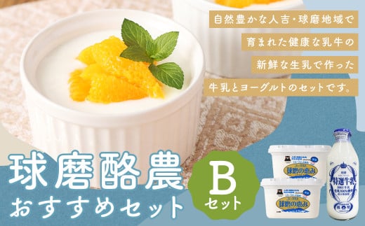 球磨酪農おすすめセットB（瓶牛乳&ヨーグルト加糖×2個） 瓶牛乳900ml×1個 ヨーグルト加糖1kg×2個 合計約2.9kg 瓶牛乳 球磨のめぐみ 球磨の恵み ヨーグルト 冷蔵 乳製品 お取り寄せ 九州 人吉市