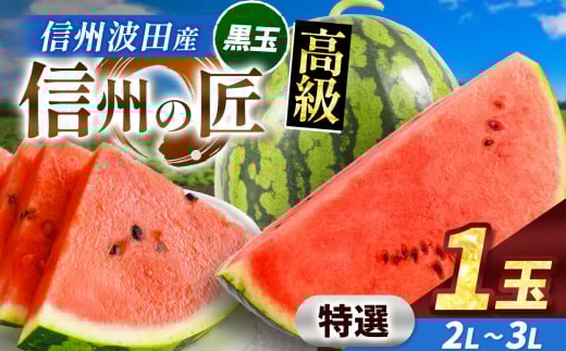 【先行予約】信州波田産 高級スイカ！信州の匠 【特選】 2L～3Lサイズ 1玉｜ふるさと納税 長野県 信州 松本 果物 フルーツ すいか スイカ 西瓜 新鮮 大きい 特別 贈答 季節限定 甘い くだもの ふるーつ 1985466 - 長野県松本市