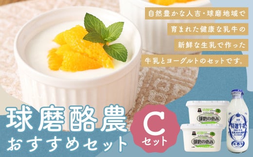 球磨酪農おすすめセットC（瓶牛乳&ヨーグルト砂糖不使用×2個） 瓶牛乳900ml×1個 ヨーグルト砂糖不使用1kg×2個 合計約2.9kg 瓶牛乳 球磨のめぐみ 球磨の恵み ヨーグルト 冷蔵 乳製品 お取り寄せ 九州 人吉市 1993619 - 熊本県人吉市