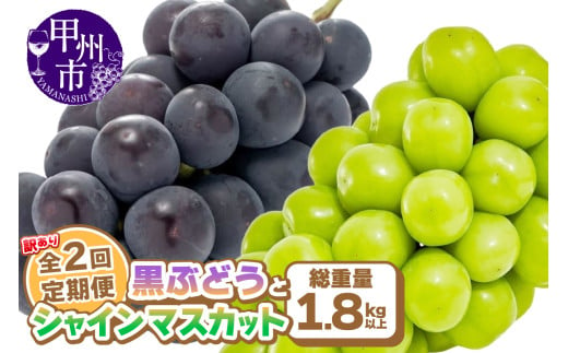 【定期便】訳あり 山梨の黒ぶどうとシャインマスカット全2回【2025年発送】（AGB）B15-875 【わけあり シャインマスカット 葡萄 ぶどう ブドウ 令和7年発送 期間限定 山梨県産 甲州市 フルーツ 果物】 2007865 - 山梨県甲州市